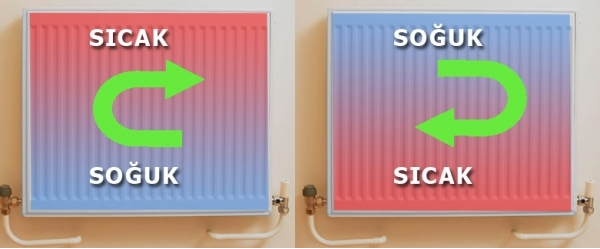 Avcılar Petek Temizliği