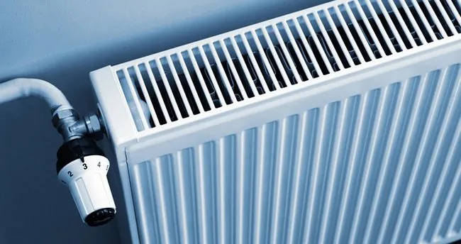 Petek Temizliği Nasıl Yapılır?